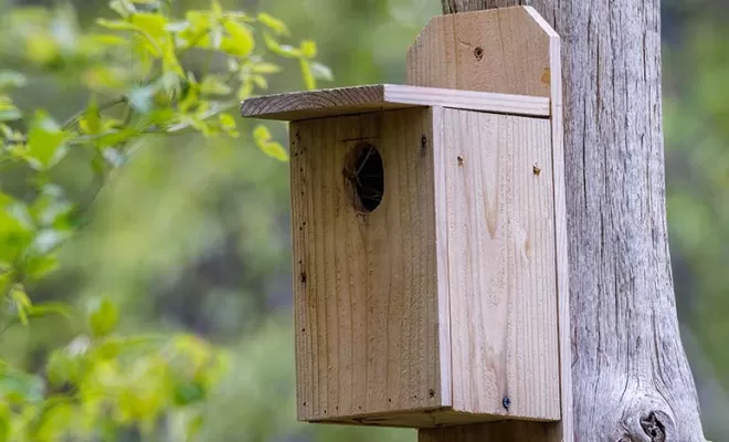 Fabrication d'un nichoir pour oiseaux , Clermont-Ferrand, AC Charpente